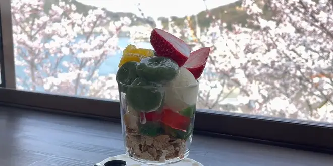【広島県】春の尾道を散歩しながら桜スポット巡り🌸絶景とグルメを満喫する1日✨