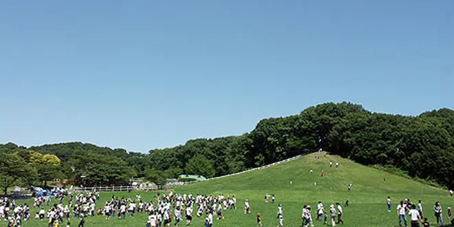 こどもの国っていう王国をご存知ですか？