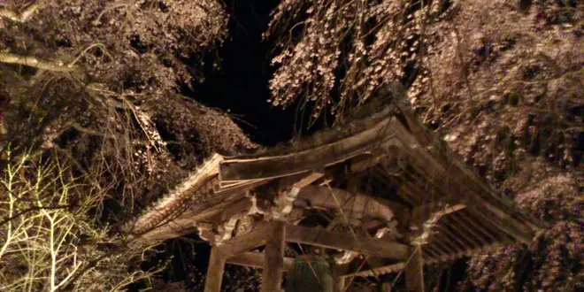 いにしえの桜に浮かぶ五ヶ瀬町