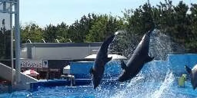 夏の日本海を楽しむ！