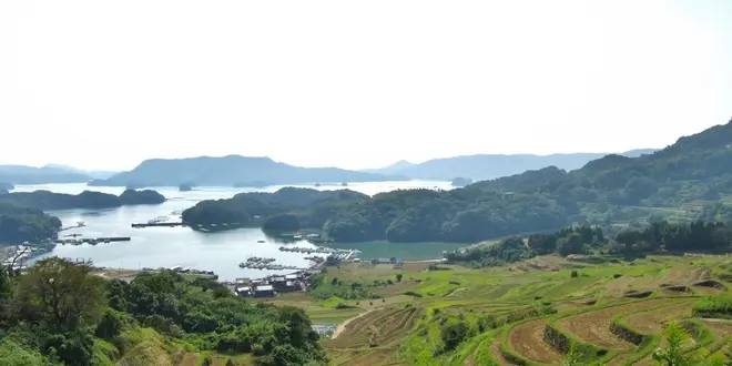 海と棚田のコラボレーションを見に行こう♪