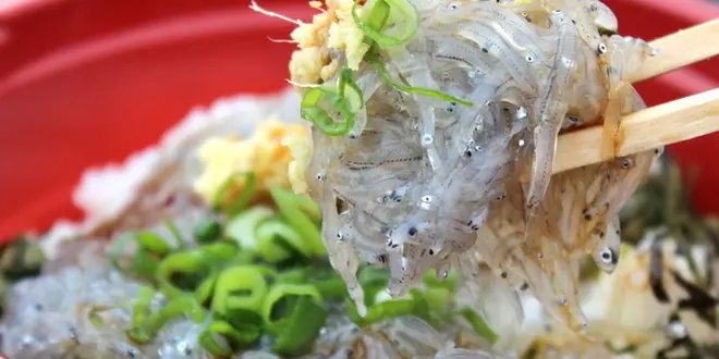 食欲の秋、いざ鎌倉！
