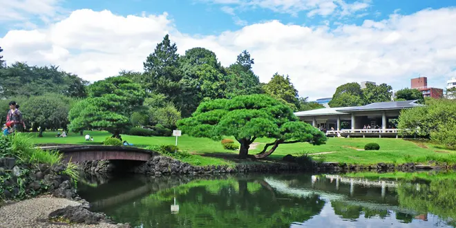 fantastic travel in tokyo