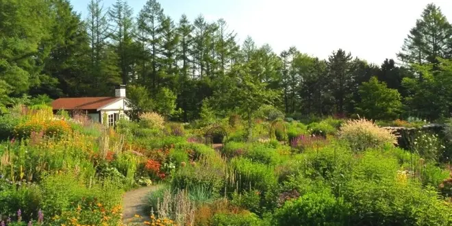 富良野～旭川にて草花を楽しむ庭園観光