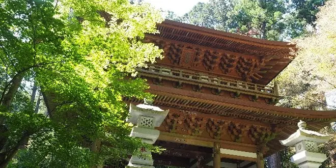 ［南足柄］南足柄満喫プラン 大雄山最乗寺、名物うどん、最後は滝も御案内♪