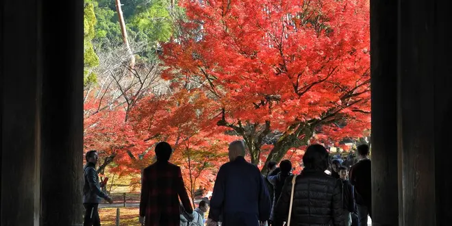 紅葉を求めて南禅寺とその周辺をブラ散歩