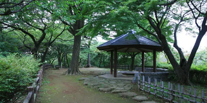 知る人ぞ知る東横線沿い「大倉山」の魅力をご紹介