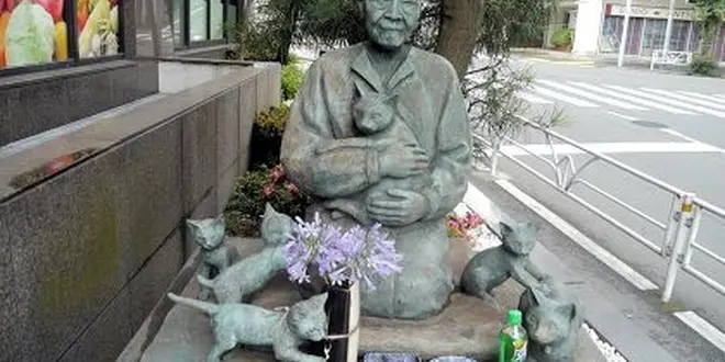 恵比寿の誰トクRoad