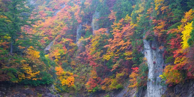 カヌーで水上から紅葉を楽しむ！／ならまた湖・群馬