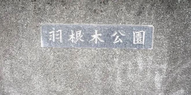 てすと