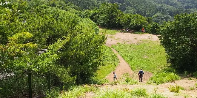 ［北鎌倉～鎌倉］山ガールにもオススメ。鎌倉“天園ハイキングコース”の絶景♪