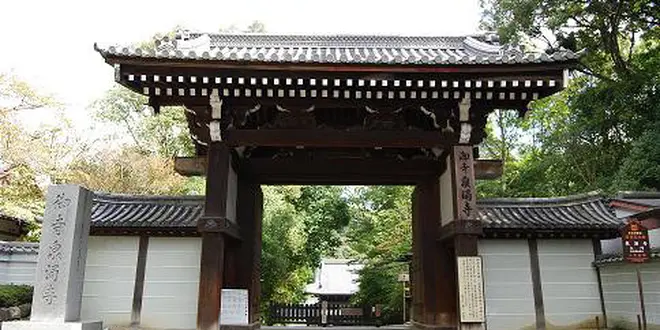 地元民も納得！ゆっくり見られる京都東山・隠れた名所で紅葉めぐり★by京都未来まちづくり100人委員会