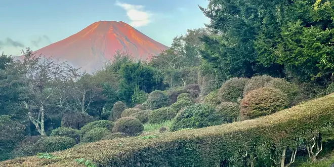 サ旅✨日本列島、真中横断🚗✨感動のサウナ体験ができる3泊4日🔥