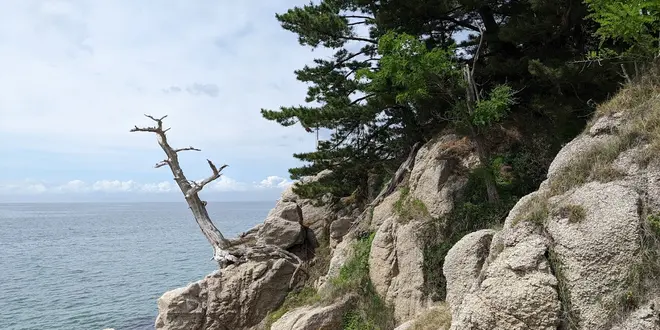 淡路島