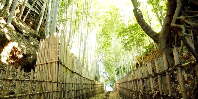 坂と暮らす街「佐倉」。旧佐倉城下の坂を歩いて一昔前にタイムスリップしてみよう♪