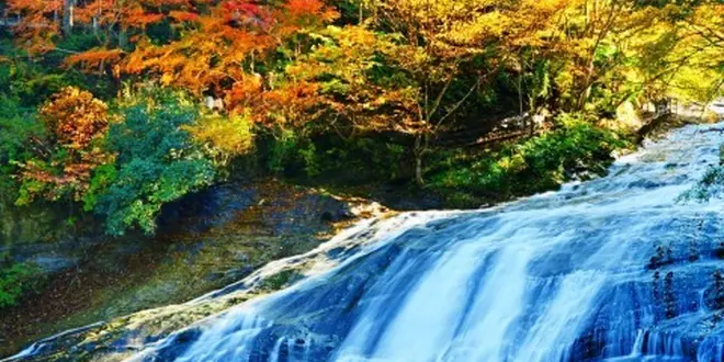 秋の養老渓谷で紅葉狩りハイキング