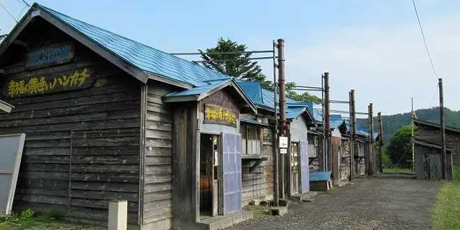 高倉健さんを偲ぶ旅