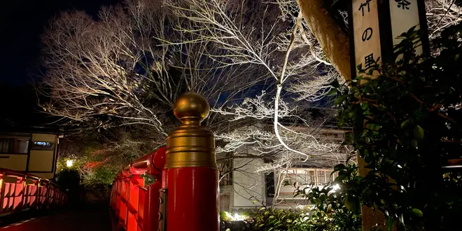 修善寺・西伊豆 日帰りTrip🚆