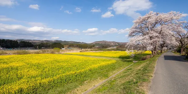 ⭕️23'ばぁばと鳴子温泉旅行