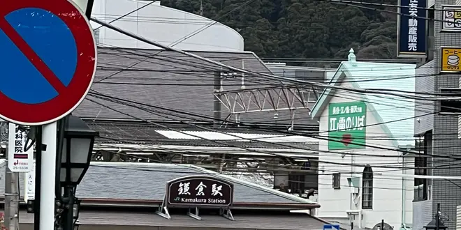 【鎌倉】弁財天めぐりと春の湘南生しらす💨