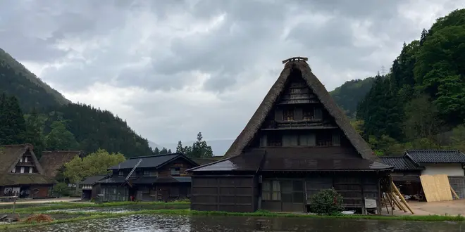 【富山】春旅✿射水〜氷見の旅 2021