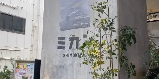 【東京】下北沢で話題のスポット！昼のみからのカフェ、古着屋さん巡り🍊