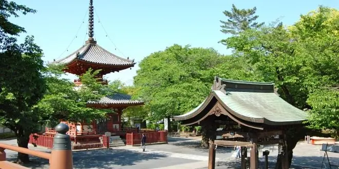 着物でのんびり川越散策