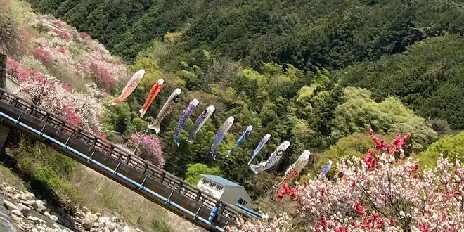 春の南信州旅行