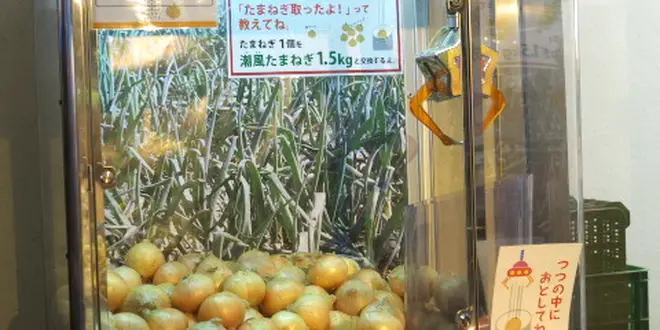 たまねぎＵＦＯキャッチャーって！？淡路島たまねぎづくしの旅