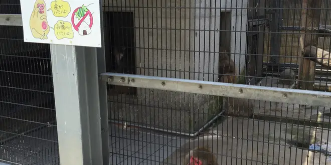 みんな子育て楽しもうぜ！鳥取駅徒歩圏内の子連レッツプラン！