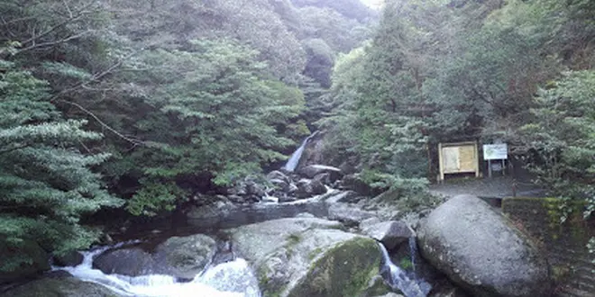 私の九州自然ツアー！