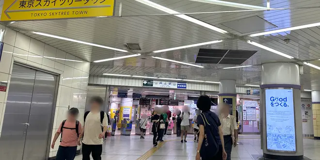 【スカイツリー・浅草エリア】涼しく楽しめる1日プラン🌻