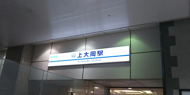 上大岡で探す夏色