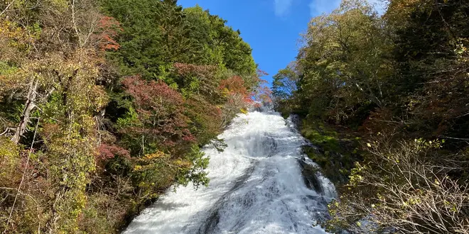 【栃木県日光方面】ドライブで日帰り紅葉巡り