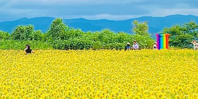 あわら温泉周辺をチャリで巡る