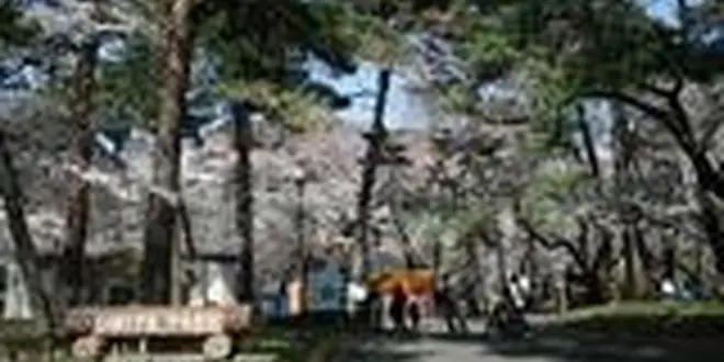 大宮ならココ