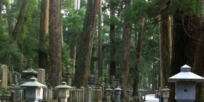 霊験あらたか、高野山と熊野のたび
