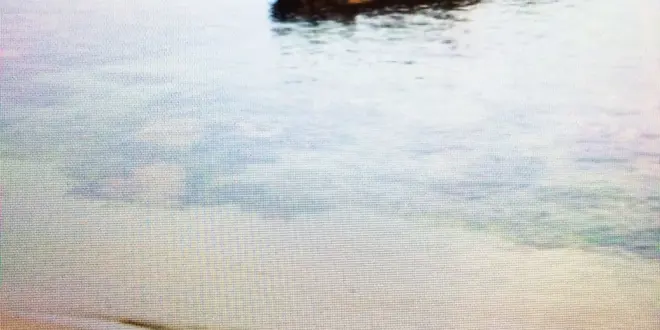 12時間レンタカーでゆく、日帰りエメラルドの海とうまいもん。