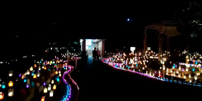 江の島の絶景を楽しむ半日旅