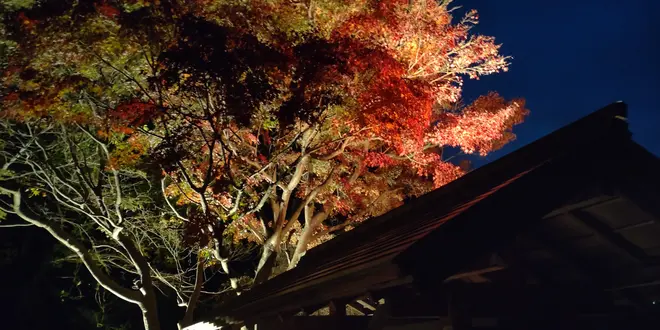 紅葉始まる箱根湯本。日帰り温泉