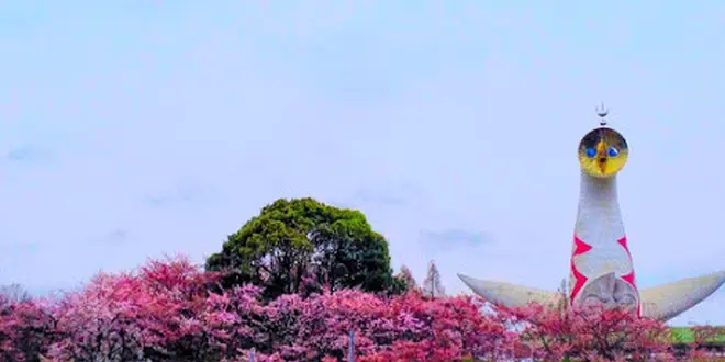 太陽の塔へ行こう！