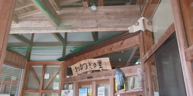 ひょっこり　あらぎ島が出現