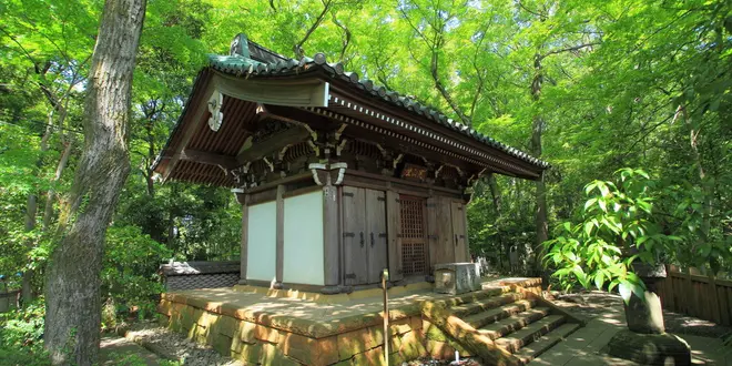 【東京】 厄除け・縁結びに効果あり！パワースポット深大寺