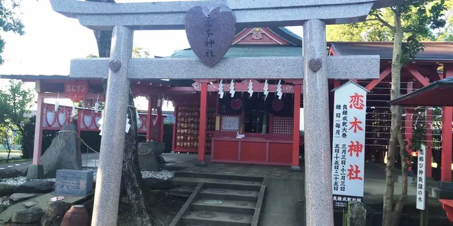 恋したくなる Chikugo