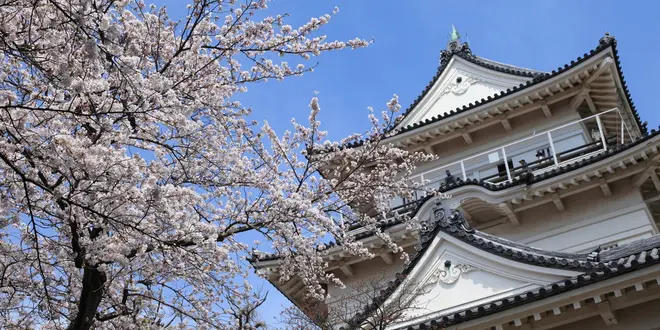 締切追い込みの旅