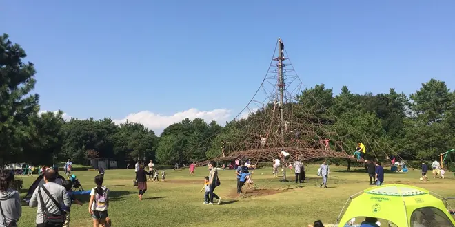愛犬と行く稲毛海浜公園•Inage Beachfront Park with lovely Dog