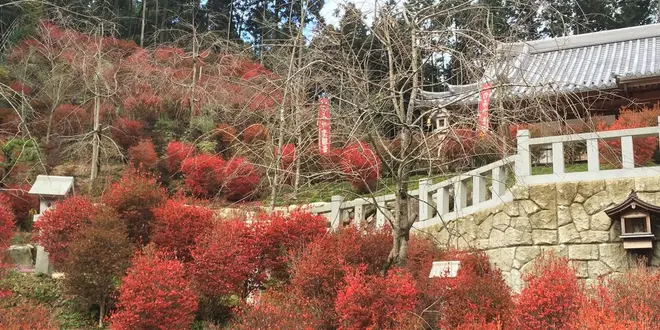 紅葉、登山、自然癒しの旅