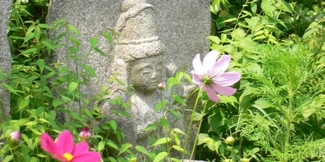 奈良　花の寺、般若寺～ならまち街歩き