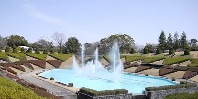 花咲かタイムズ【静岡・浜松】