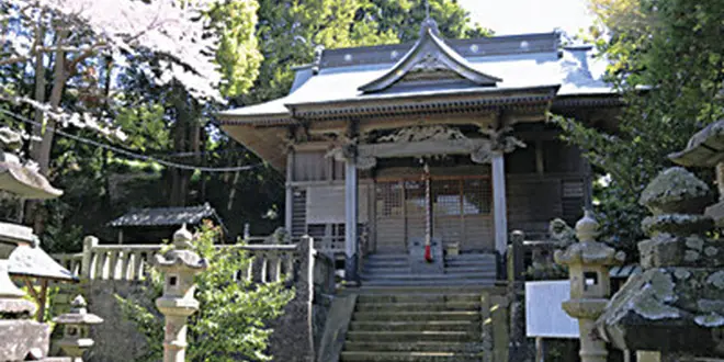 のんびりノビノビ　　しずおか元気旅